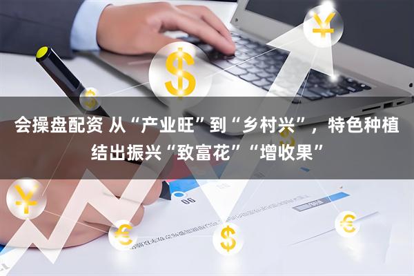会操盘配资 从“产业旺”到“乡村兴”，特色种植结出振兴“致富花”“增收果”