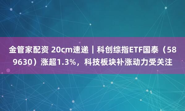 金管家配资 20cm速递｜科创综指ETF国泰（589630）涨超1.3%，科技板块补涨动力受关注
